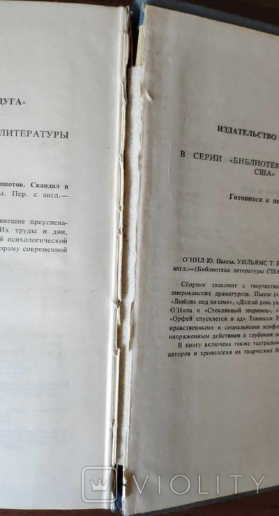 J. Апдайк, Кентавр, Дж. К. Оутс. Сад земних радощів. Бібліотека літератури США, фото №8