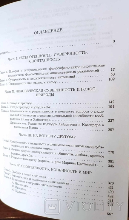 Дорофеев. Суверенная и гетерогенная спонтанность: Философско-антропологический анали, фото №8