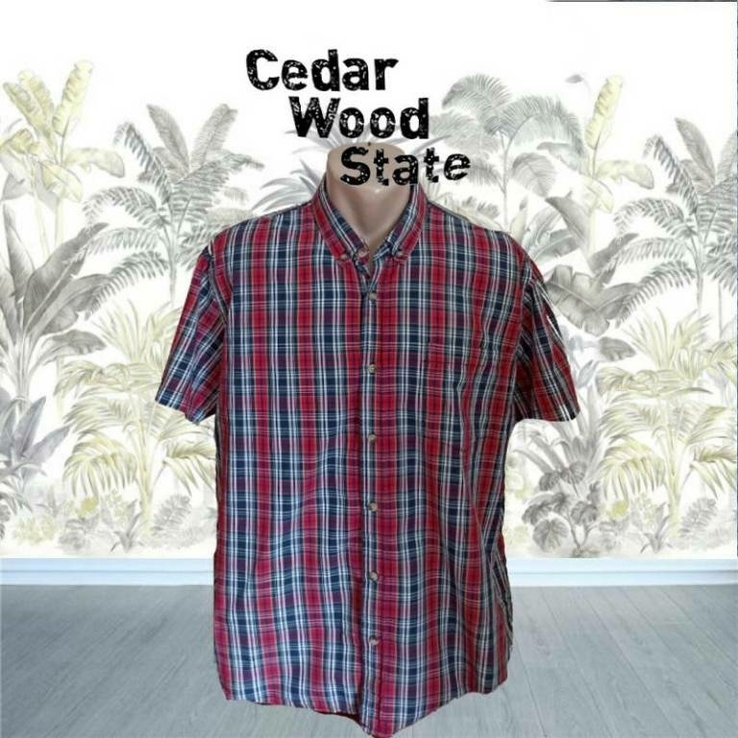 Cedar Wood State Летняя мужская рубашка короткий рукав XL, photo number 2