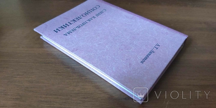 Липатов А. Т. Сленг как проблема социолектики, фото №4