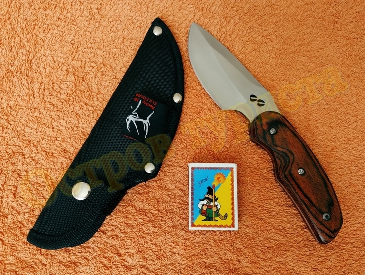 Нож тактический Коготь с чехлом, photo number 2