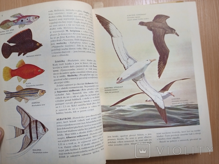 От агамы до акулы. Большой иллюстрированный словарь животных.(на чешском языке), фото №6