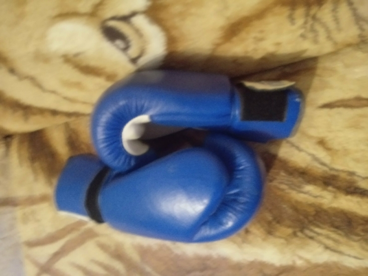 2 пары проф.боксерских перчаток MATSA + пара тренировочных лап, photo number 8