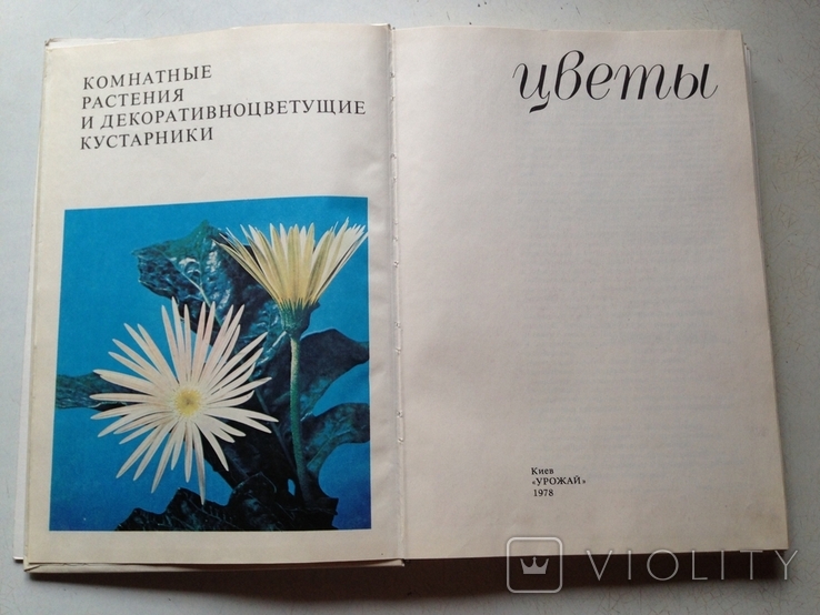 Цветы.Киев. Урожай, 1978, фото №2