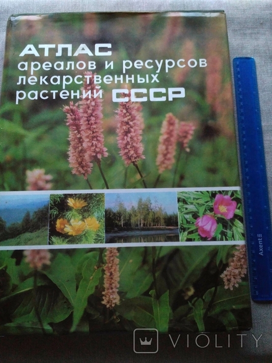 Атлас ареалов и ресурсов лекарственных растений СССР, фото №2