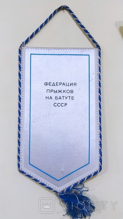 Международные соревнования по прыжкам на батуте. Кубок космонавтики, фото №4