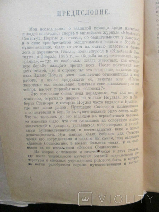 Кропоткин П.Взаимная помощь среди животных и людей 1922г, фото №4