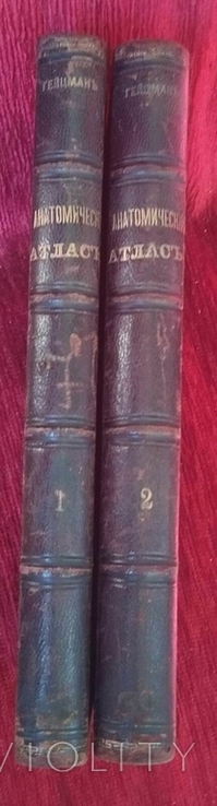 Гейцман. Описательная и топографическая анатомия человека. Атлас, оба тома М. тип.Сытина, фото №2