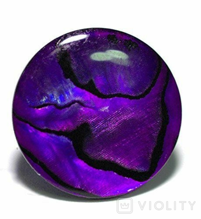 Сережки з перламутром Purple Paua Shell, фото №12