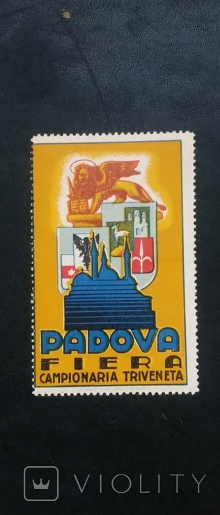 Гордість Падуї, Італія, чудові 1970-ті, фото №2