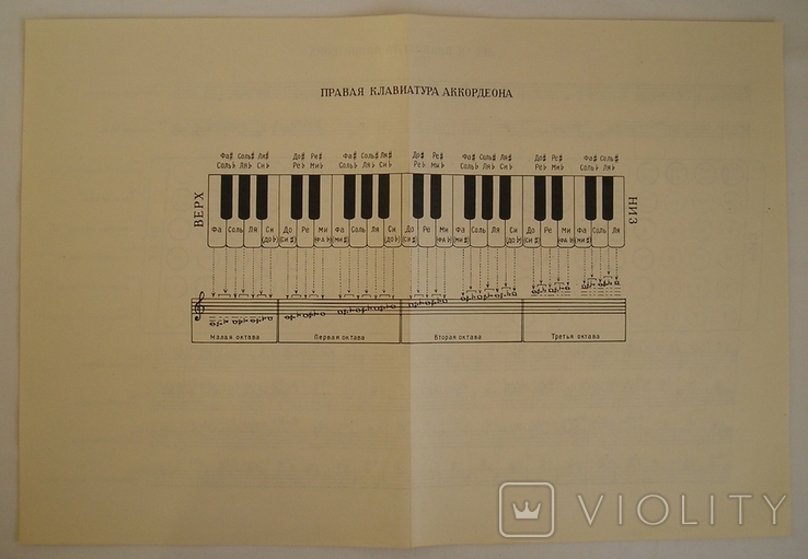 Раскладка клавиатуры аккордеона, фото №2