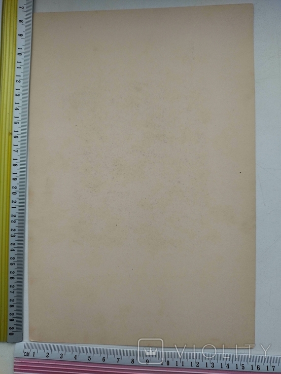 К.9.24.Дореволюционная фотогравюра из Фотогравюры старых мастеров из собр. Дрезденской гал, фото №3