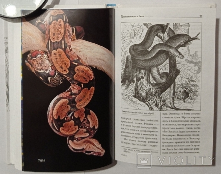 Брем А.Є. Життя животних: Плазуни. Амфібії. Тир. 5000 примірників, фото №10
