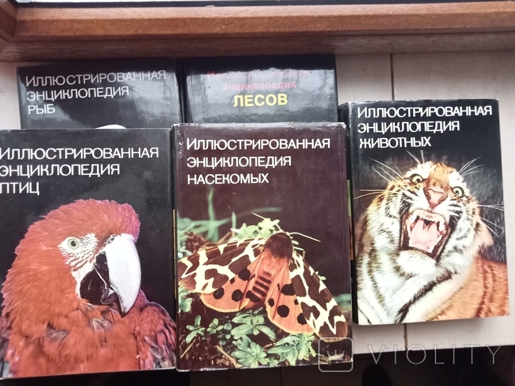 Иллюстрированные энциклопедии - 5 штук. Птицы,леса, рыбы, насекомые, животные,, photo number 2