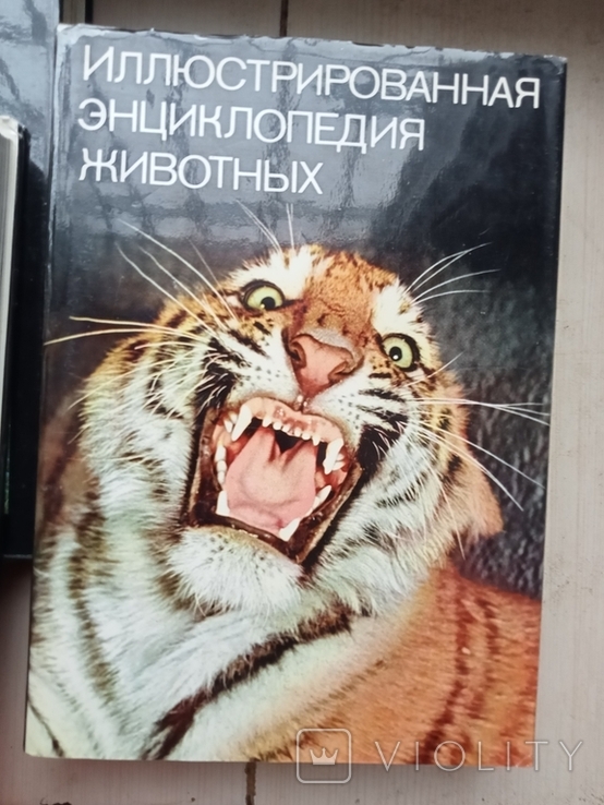 Иллюстрированные энциклопедии - 5 штук. Птицы,леса, рыбы, насекомые, животные,, photo number 3