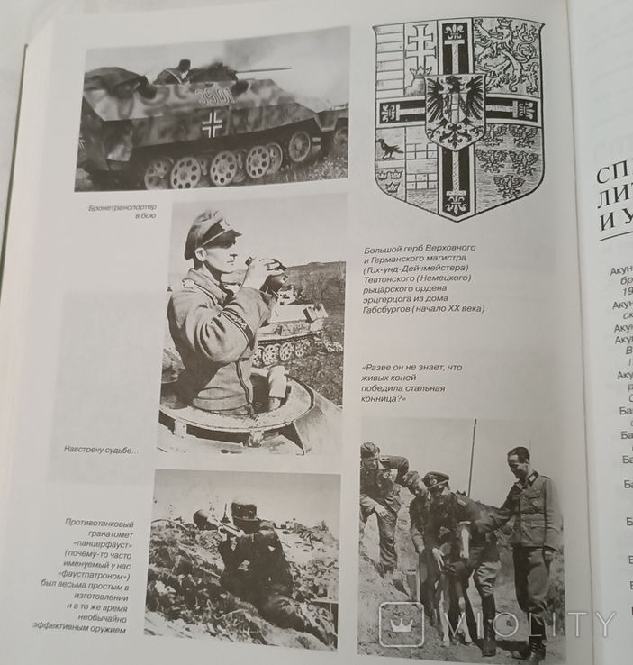 Танковий корпус "Великая Германия" (історія Панцерваффе), фото №7