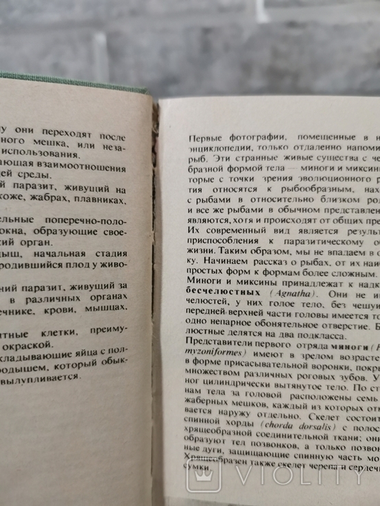 Энциклопедия. Артия, фото №6