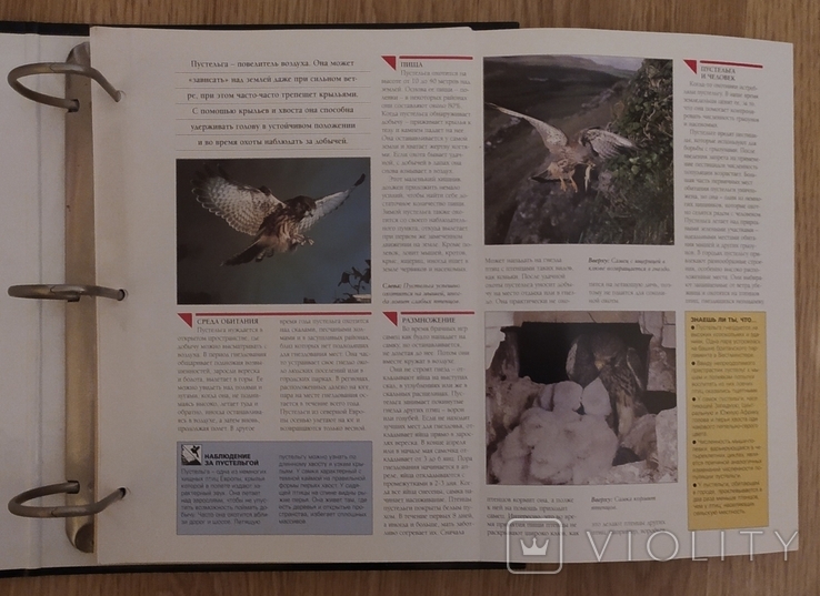 Альбом карт про животных, фото №7