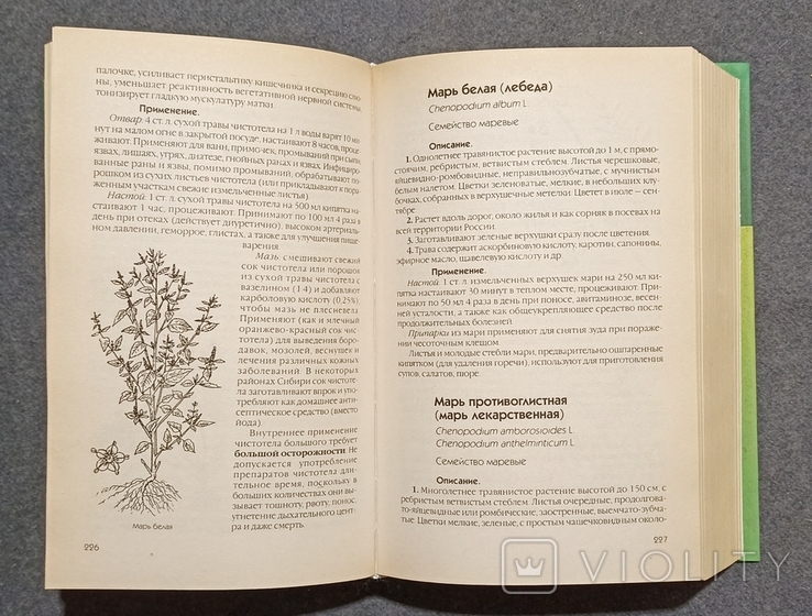 Полный справочник лекарственных растений. П.А. Кьосев 2001г, фото №6