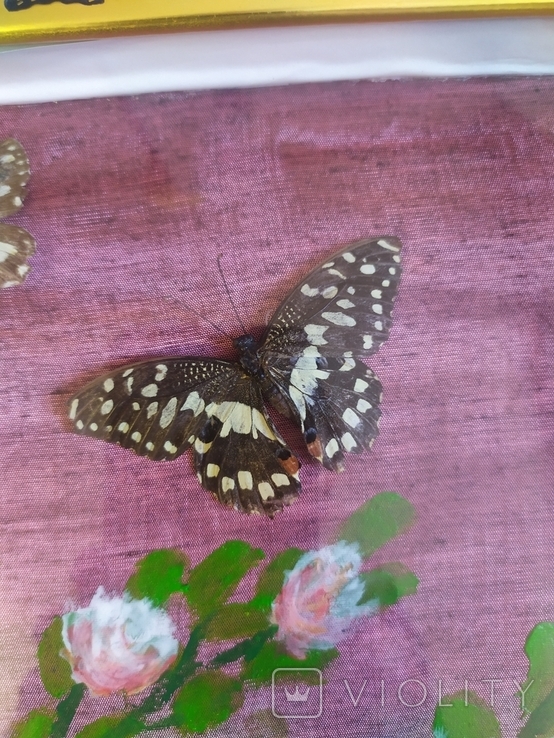 Картина с бабочками 49х30см, фото №7