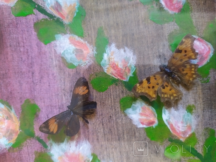 Картина с бабочками 49х30см, фото №8