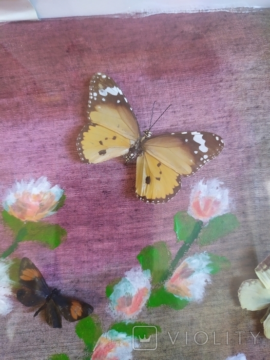 Картина с бабочками 49х30см, фото №12