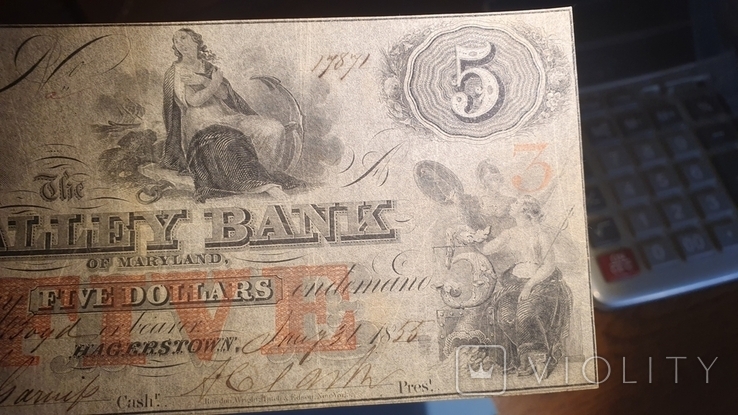 Конфедерати.5 долларів.1855., фото №3