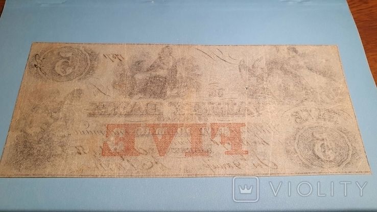 Конфедерати.5 долларів.1855., фото №4