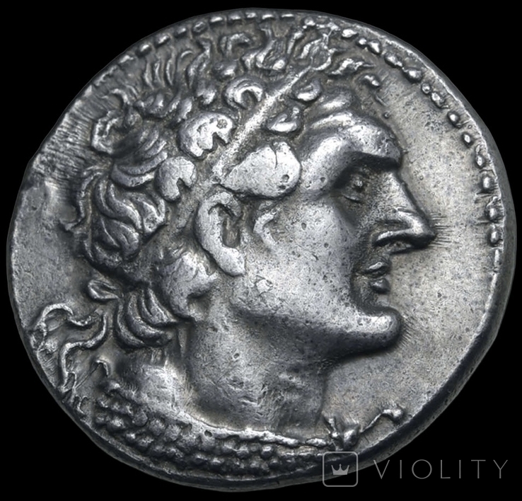 Тетрадрахма, Птолемей VІ Філометор, 175/4 р.р. до н.е., фото №2