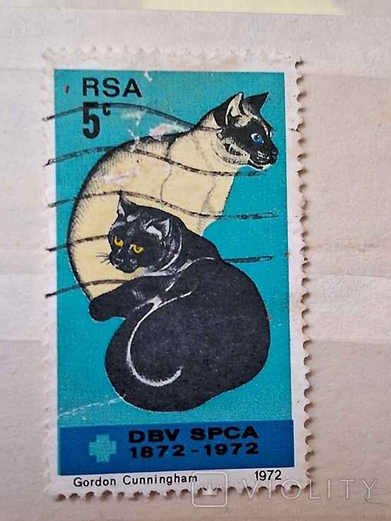 ЮАР. RSA