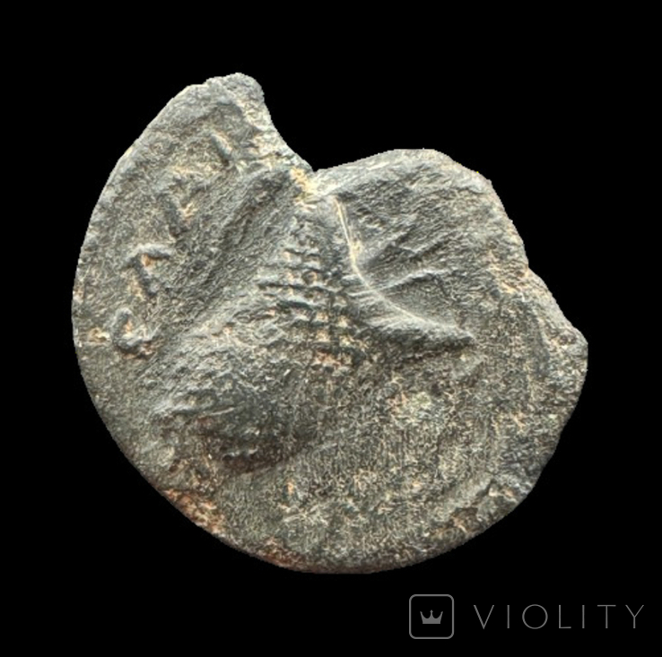 Elaea Aeolia 161-192 гг н.э. (46.168), фото №4