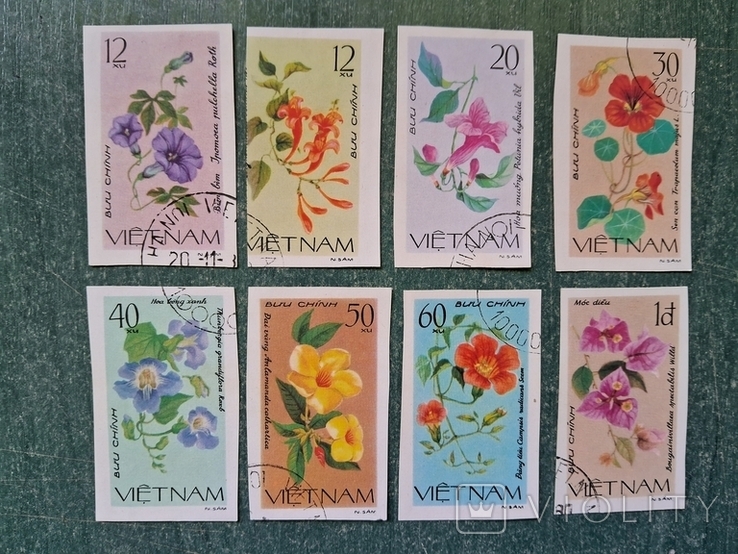 В'єтнам квіти Вьетнам цветы.