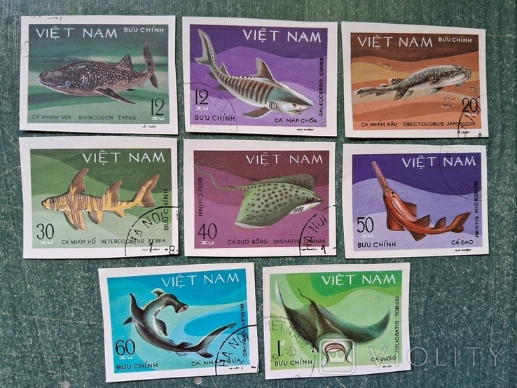 В'єтнам Вьетнам рыбы