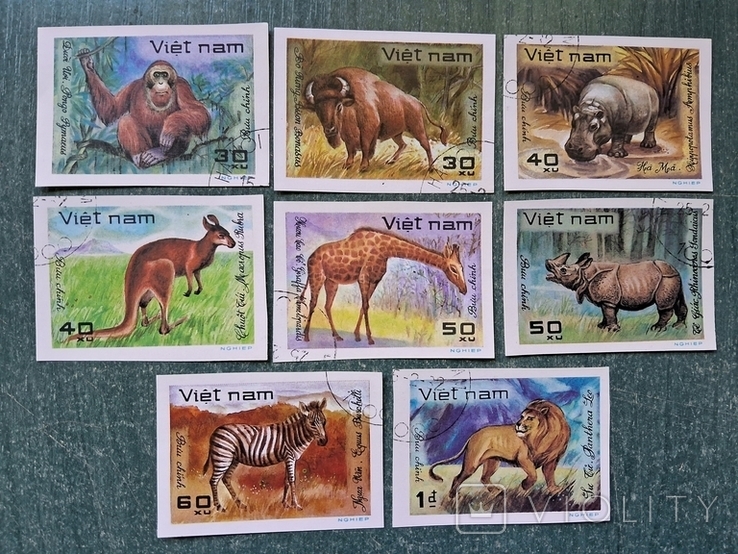 В'єтнам Вьетнам дикие животные