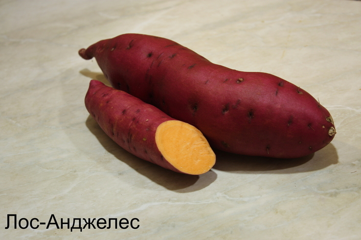 Батат для Еды Без химии эко продукт микс цветов разных 7сортов 3,5кг, numer zdjęcia 9