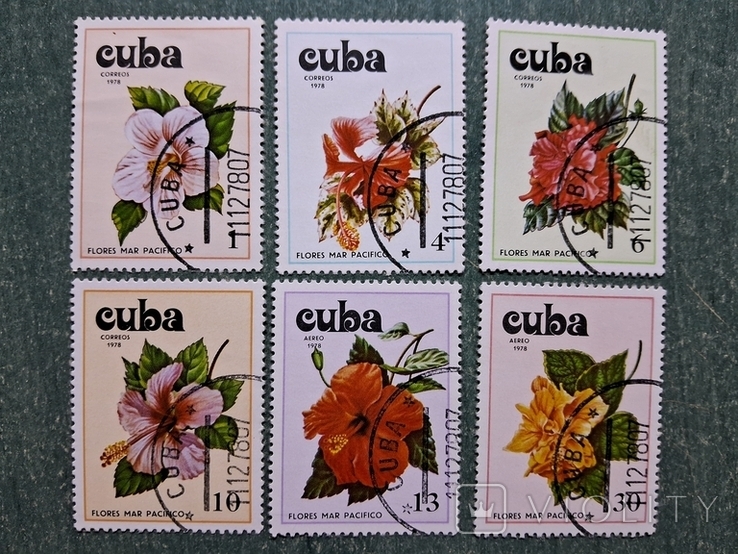 Куба. Цветы. Квіти