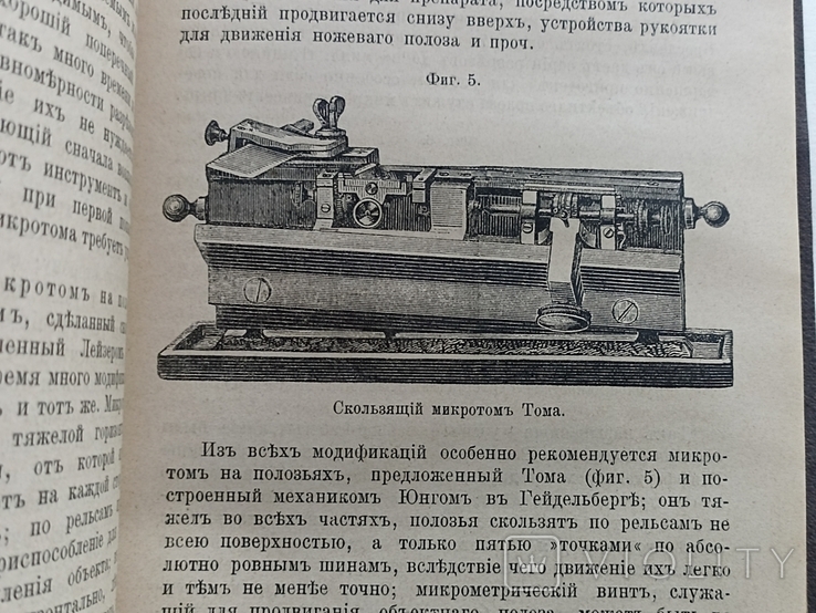 Практическое руководство по анатомии животных М. Брауна 1887 г., фото №8