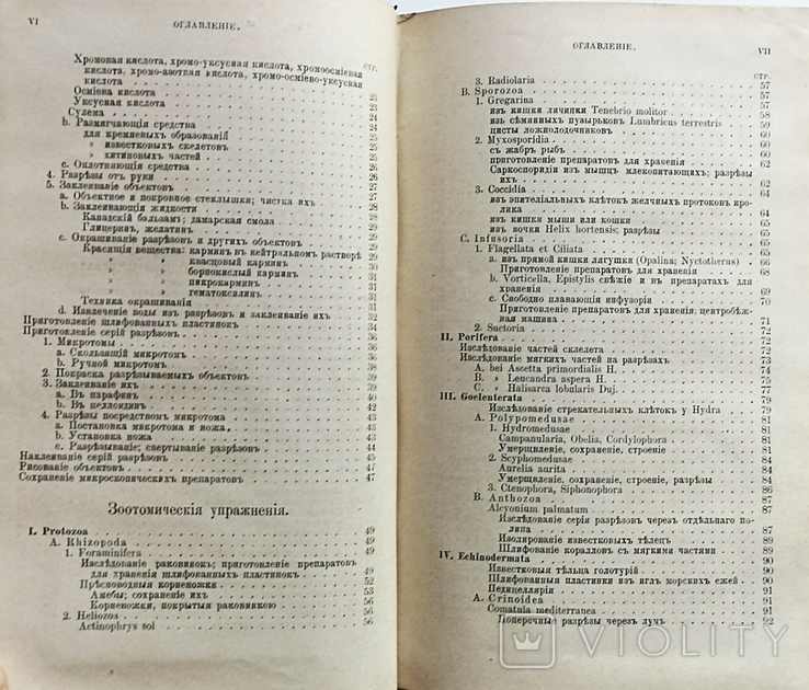 Практическое руководство по анатомии животных М. Брауна 1887 г., фото №12