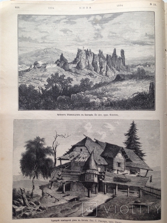 Нива №19/1894. Кости- иллюстрированный очерк профессора Брандта. Фуше. Реклама., фото №7