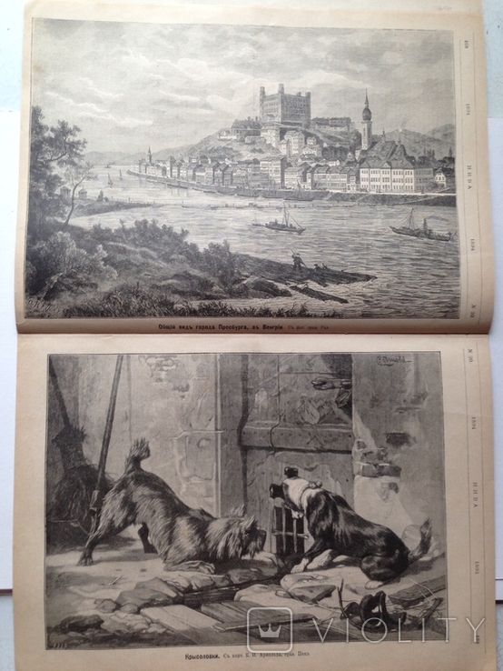 Нива 20/1894. Кости- очерк профессора Брандта. Дрессировка лошадей в цирке.Реклама., фото №9