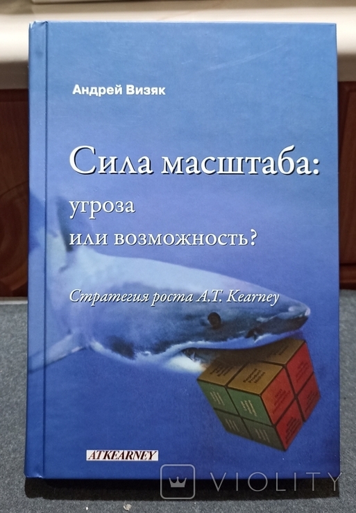 Сила масштаба: угроза или возможность? Андрей Визяк 2008г, фото №2