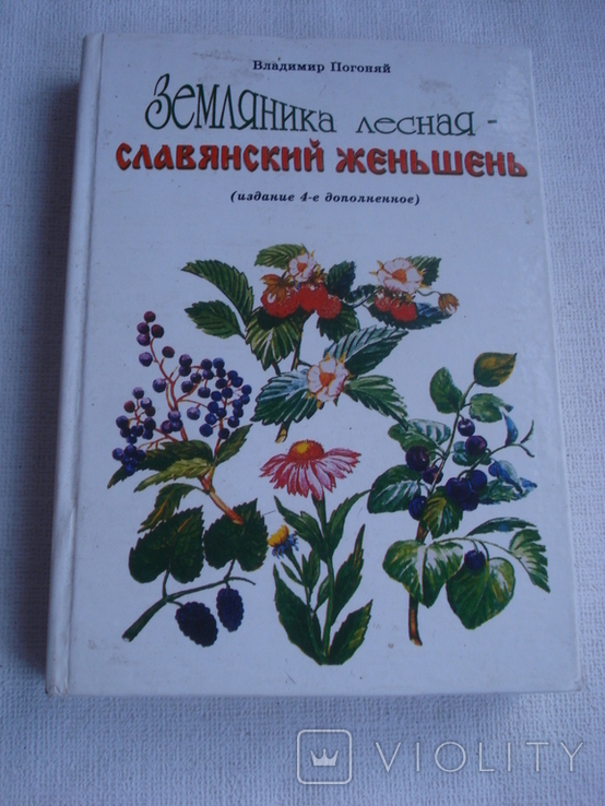 Земляника лесная - славянский женьшень. Владимир Погоняй., фото №2