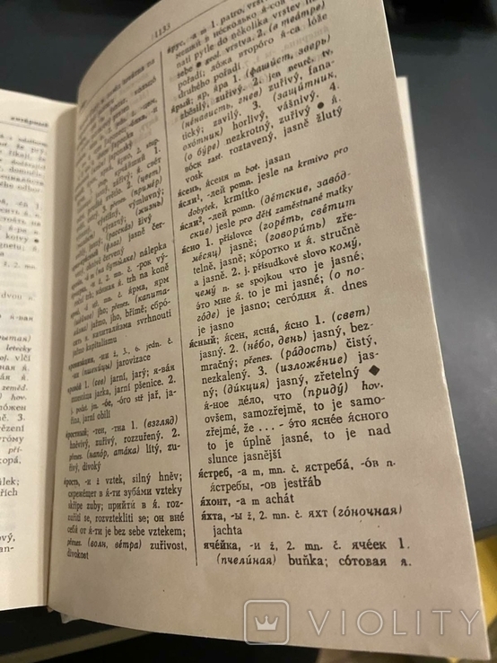 Школьный Русско Чешский Словарь в двух томах 1968 год, фото №8