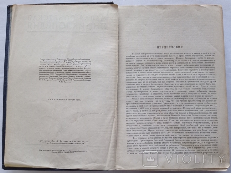 Мала радянська енциклопедія. 1928. Випуск 1. 960 с. 50 000 примірників., фото №9