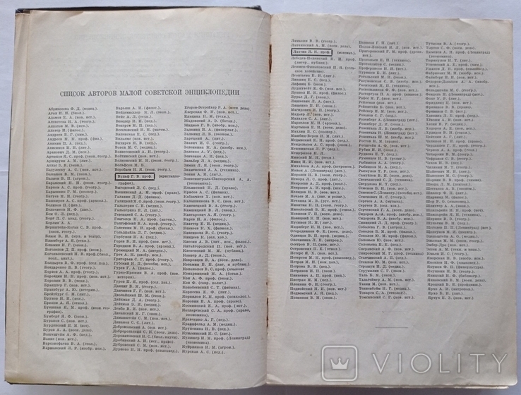 Мала радянська енциклопедія. 1928. Випуск 1. 960 с. 50 000 примірників., фото №12