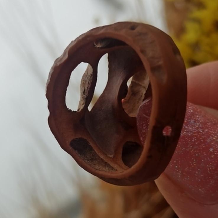 Каблучка з маньчжурського горіха .15 мм, фото №9