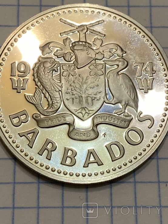 Барбадос 5 долларов 1974 серебро 31.1 грамм, фото №5
