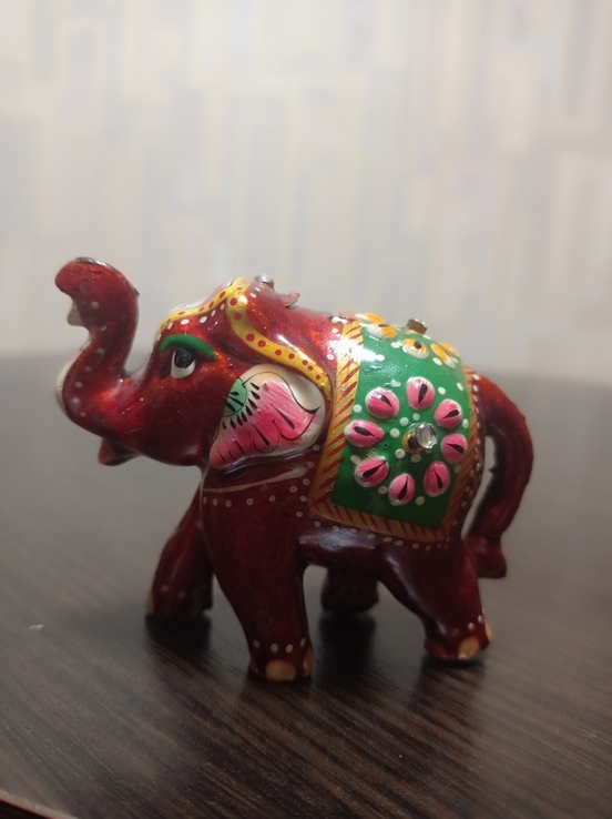 Слон индийский, фото №5