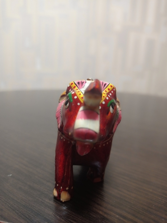 Слон индийский, фото №6