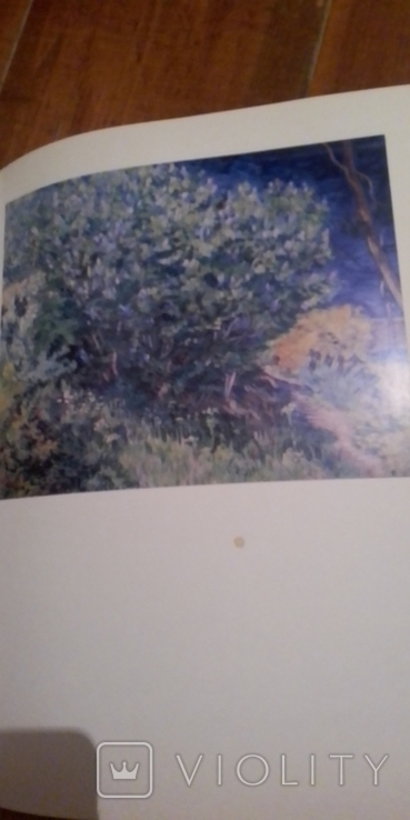 Альбом Ван Гог, фото №5